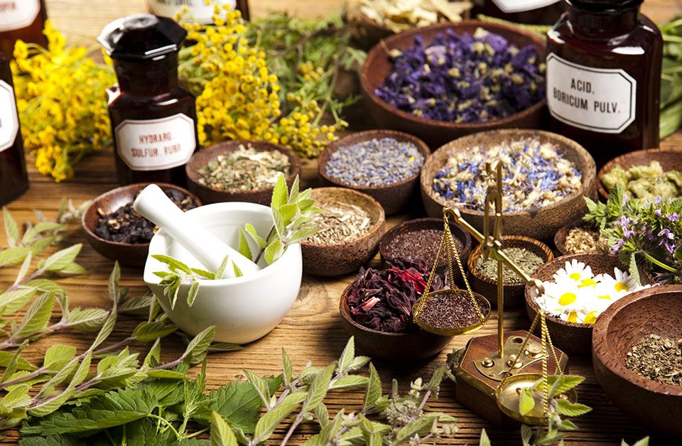 Herbal Remedies - A selection of herbs and spices, illustrating nature's healing power in Patrick Murphy's holistic approach to wellness.