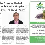 Consultations with Patrick Murphy at the Ashe Hotel Tralee Co. Kerry September 02 2023